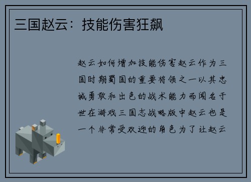 三国赵云：技能伤害狂飙